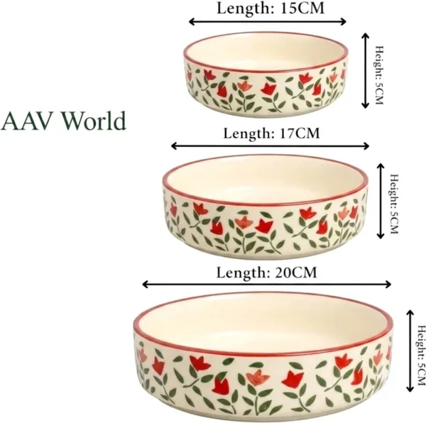 AAV_WORLD_Ceramic_Salad_Bowl_SALAD_TRAY_Disposable_(Pack_of_3,_Red)