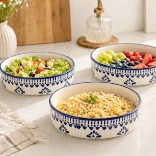 AAV_WORLD_Ceramic_Salad_Bowl_SALAD_TRAY_Disposable_(Pack_of_3,_Blue)