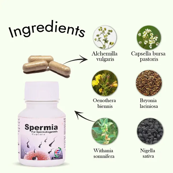 Hashmi_Spermia_Capsule_20_Capsule_Default_Title