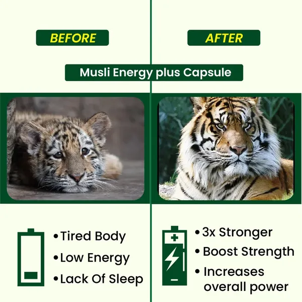 Hashmi_Musli_Energy_Plus_Capsule_Ayurvedic_Medicine_For_Stamina_Muscle_Growth_Immunity_Overall_Well_Being_Default_Title