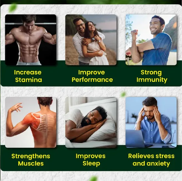 Hashmi_Hard_Rock_Capsule_Herbal_Men_S_Vitality_Stamina_Support_20_Capsules_Default_Title