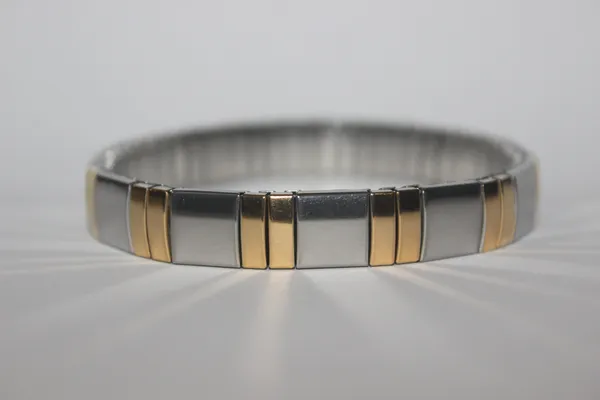 Mania_Anti_Tarnish_Steel_And_Gold_Bracelet_Default_Title