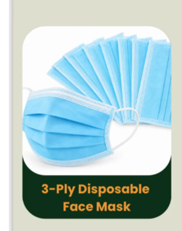 Blue_3-Ply_Disposable_Face_Mask_Pack_Of_100