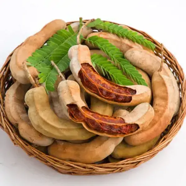 Brown_Sweet_All_Time_Tamarind_Imli_Fruit_Plant