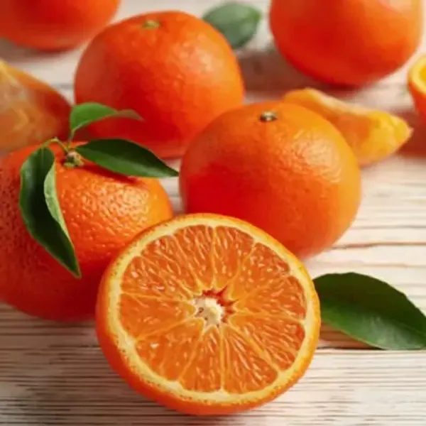 Orange_Valencia_Grafted_Amp_Hybrid_Lemon_Fruit_Plant