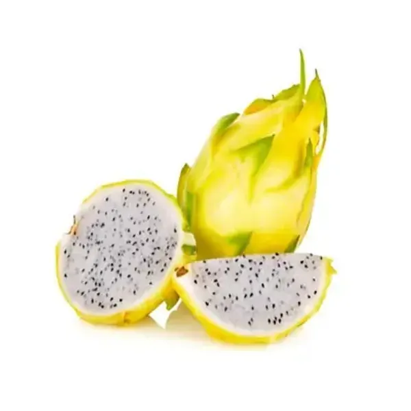 Yellow_Dragon_Fruit_Plant