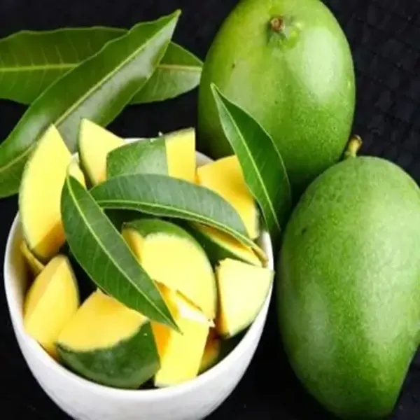 Green_Kacha_Mittha_Mango_Grafted_Fruit_Plant