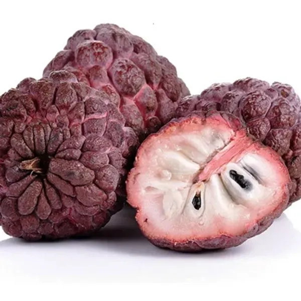 Red_Custard_Apple_Grafted_Fruit_Plant