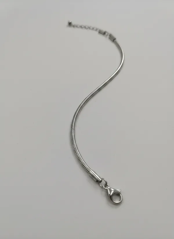 Silver-Tone_Snake_Chain_Anklet_for_Women
