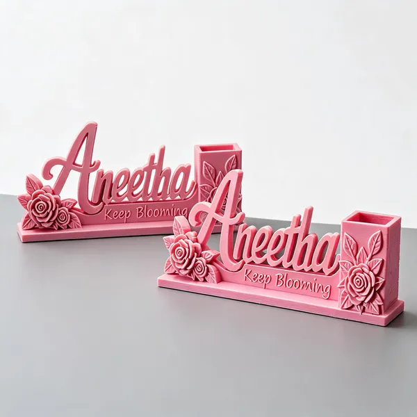 Pink_Pla_Plastic_Desk_Nameplate__And_Pen_Holder_Pack_Of_2