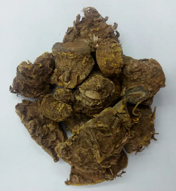 AMBA_HALDI_SABUT