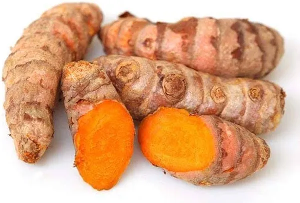 Amba_Haldi_Sabut