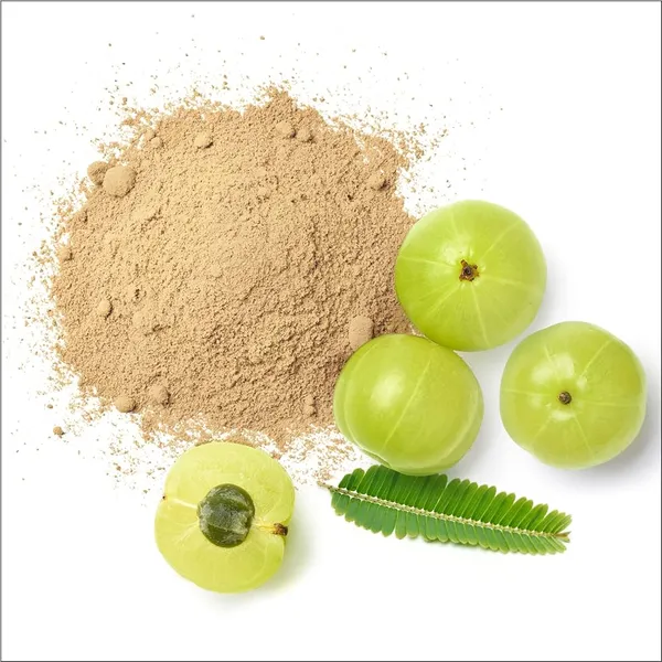 AMLA_POWDER