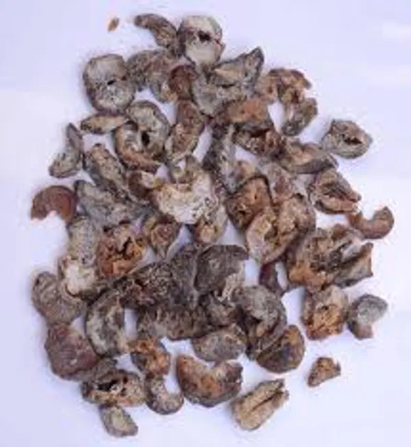 AMLA_SABUT