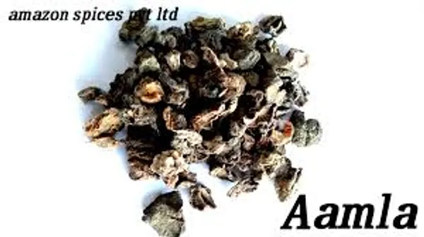 AMLA_SABUT