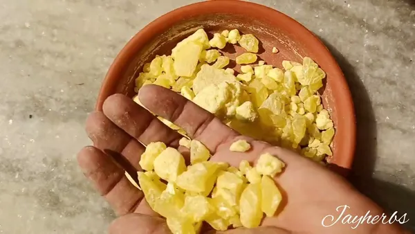 AMLA_SAR_GANDHAK