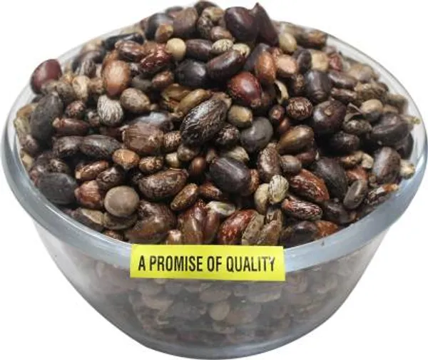 ARANDI_BEEJ,_CASTOR_SEEDS