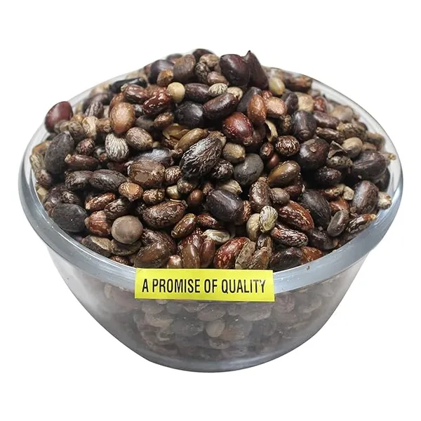 ARANDI_BEEJ,_CASTOR_SEEDS