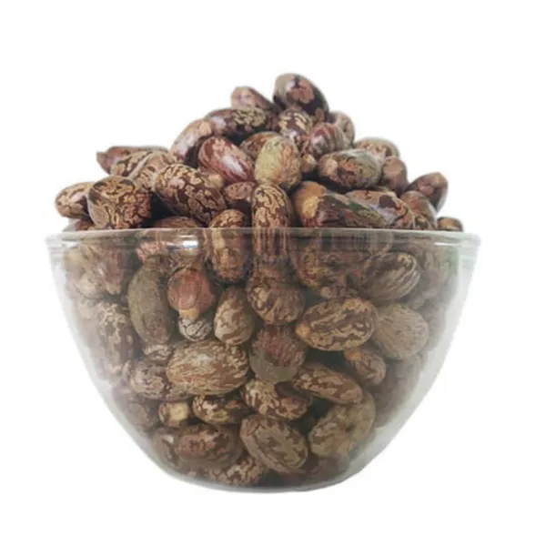 ARANDI_BEEJ,_CASTOR_SEEDS