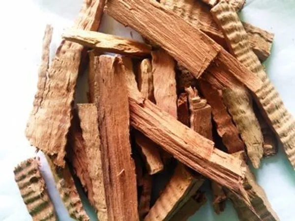 Natural_Ayurvedic_Herb_Ashok_Chaal