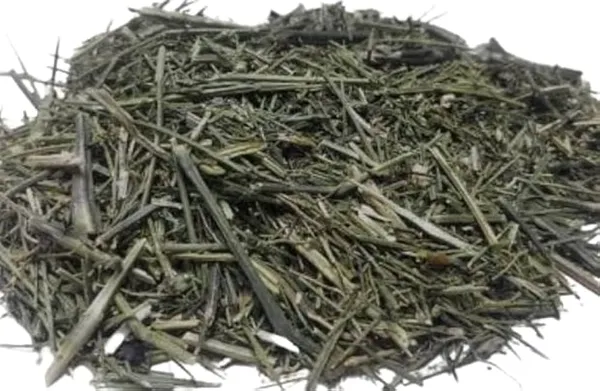 ASLI_CHIRIATA