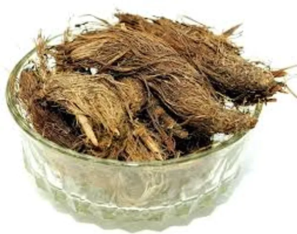 My_God_Gift_Balchad_Jatamansi_|_Jatamansi_Root_|_Natural_Traditional_Ayurvedic_Herb