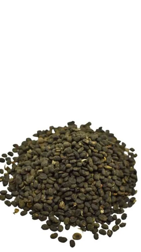 My_God_Gift_Bathua_Beej_|_Bathua_Seeds_|_Chenopodium_Album_Seeds_|_Natural_Traditional_Herb