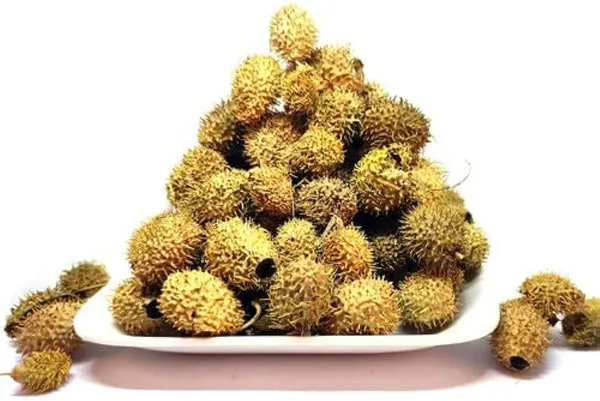My_God_Gift_Bindal_Dode_Sabut_|_Bindal_Doda_|_Bindal_Dode_Whole_|_Natural_Raw_Herb_|_Traditional_Ayurvedic_Jadi_Booti_|_Premium_Quality