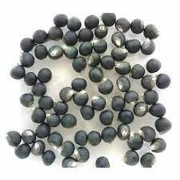 My_God_Gift_Bindi_Beej_(Bindi_Seeds)_|_Natural_&_Premium_Quality
