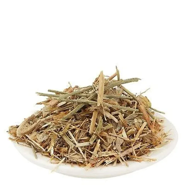 My_God_Gift_Brahmadandi_Sabut_|_Brahma_Dandi_Whole_Herb_|_Brahmadandi_Jadi_Booti_|_Natural_Ayurvedic_Raw_Herb_|_Premium_Quality_Herbal_Ingredient