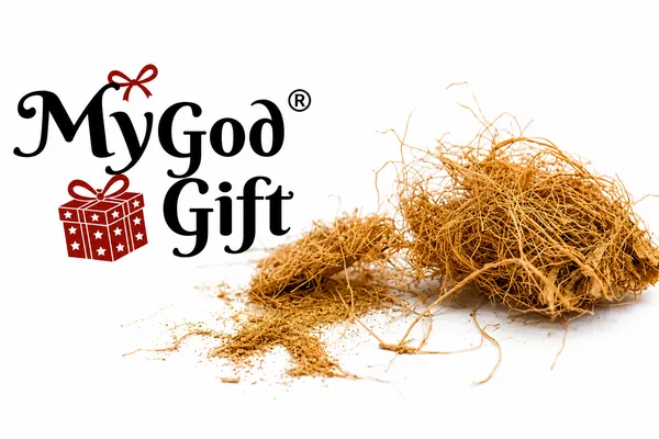 My_God_Gift_Chandan_Ki_Jad_|_Sandalwood_Root_|_Chandan_Root_|_Natural_Raw_Jadi_Booti_|_Traditional_Herbal_Product