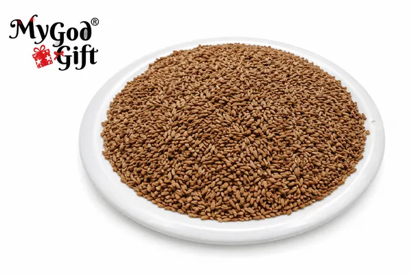 My_God_Gift_Gajar_Beej_|_Carrot_Seeds_|_Daucus_Carota_Seeds_|_Natural_Raw_Herbal_Seeds_|_Traditional_Jadi_Booti