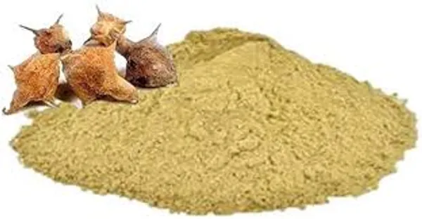 My_God_Gift_Gokhru_Bada_Powder_|_Bada_Gokhru_Churna_|_Large_Gokshura_Powder_|_Pedalium_Murex_|_Natural_Herbal_Powder