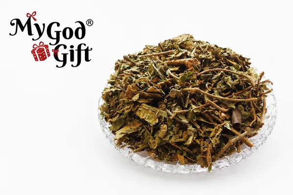 My_God_Gift_Gudmar_|_Gurmar_Leaves_|_Gymnema_Sylvestre_|_Madhunashini_|_Natural_Raw_Ayurvedic_Jadi_Booti