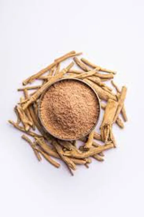 My_God_Gift_Hadjod_Powder_|_Harjod_|_Asthisamharaka_|_Cissus_Quadrangularis_Powder_|_Traditional_Ayurvedic_Herbal_Powder