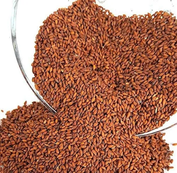 My_God_Gift_Halim_Seeds_|_Halam_|_Aliv_Seeds_|_Garden_Cress_Seeds_|_Chandrasur_Beej_|_Lepidium_sativum