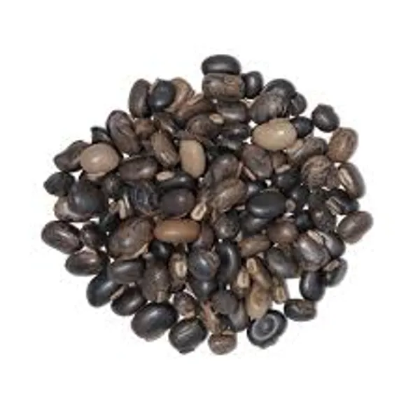 My_God_Gift_Indrayan_Beej_|_Indrayan_Seeds_|_Bitter_Apple_Seeds_|_Citrullus_Colocynthis_|_Natural_Raw_Jadi_Booti