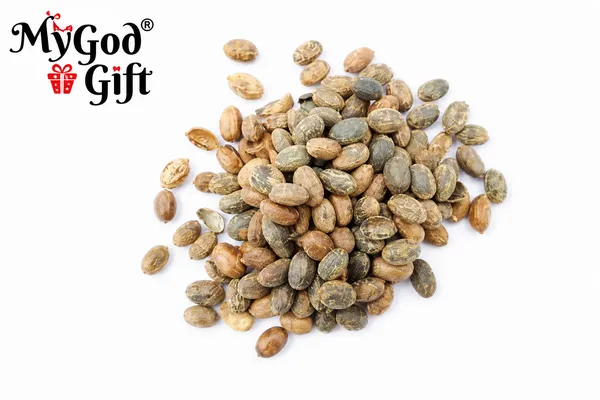 My_God_Gift_Jamalghota_|_Jamalgota_Seeds_|_Jayapala_|_Croton_Seeds_|_Croton_tiglium_|_Traditional_Raw_Material