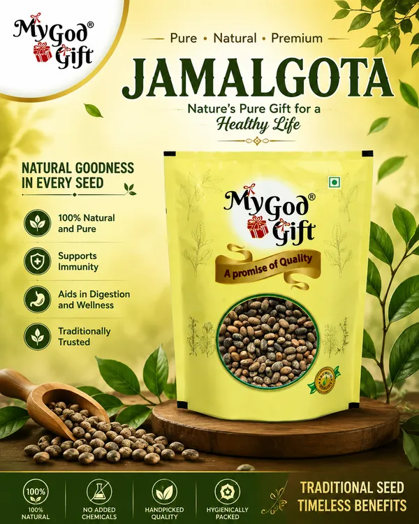 My_God_Gift_Jamalghota_|_Jamalgota_Seeds_|_Jayapala_|_Croton_Seeds_|_Croton_tiglium_|_Traditional_Raw_Material