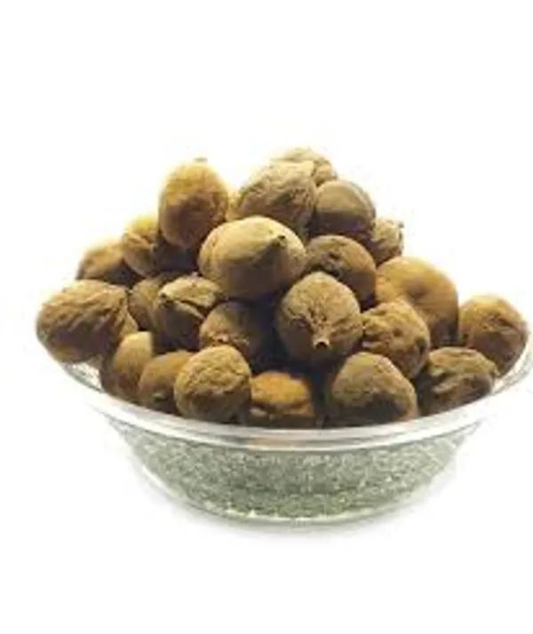 My_God_Gift_Jiyapota_Putrajeevak_Beej_|_Putrajivak_Seeds_|_Putranjiva_Beej_|_Jiyapota_Seeds_|_Putranjiva_roxburghii_|_Traditional_Ayurvedic_Herb