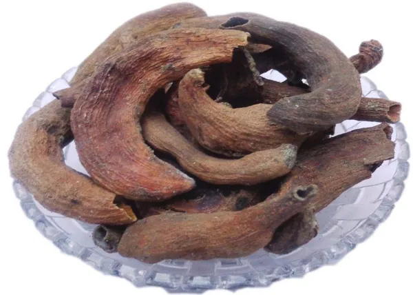 My_God_Gift_Kakar_Singhi_|_Kakad_Singhi_|_Karkatshringi_|_Kakra_Singhi_|_Pistacia_integerrima_Galls_|_Traditional_Ayurvedic_Herb