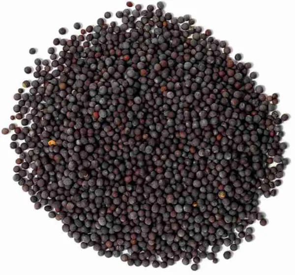 My_God_Gift_Kali_Sarso_|_Black_Mustard_Seeds_|_Kali_Sarson_Dana_|_Rai_|_Mustard_Seeds_|_Natural_Indian_Spice