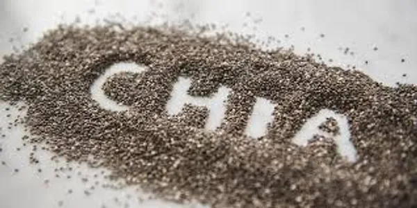My_God_Gift_Premium_Chia_Seeds_|_Natural_Chia_Beej_|_Rich_in_Fiber_&_Omega-3_|_Healthy_Superfood_Seeds