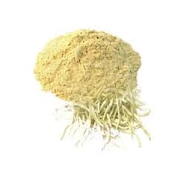 My_God_Gift_Safed_Musli_Powder_|_White_Musli_Powder_|_Musli_Safed_Churna_|_Chlorophytum_borivilianum_|_Traditional_Ayurvedic_Herbal_Powder