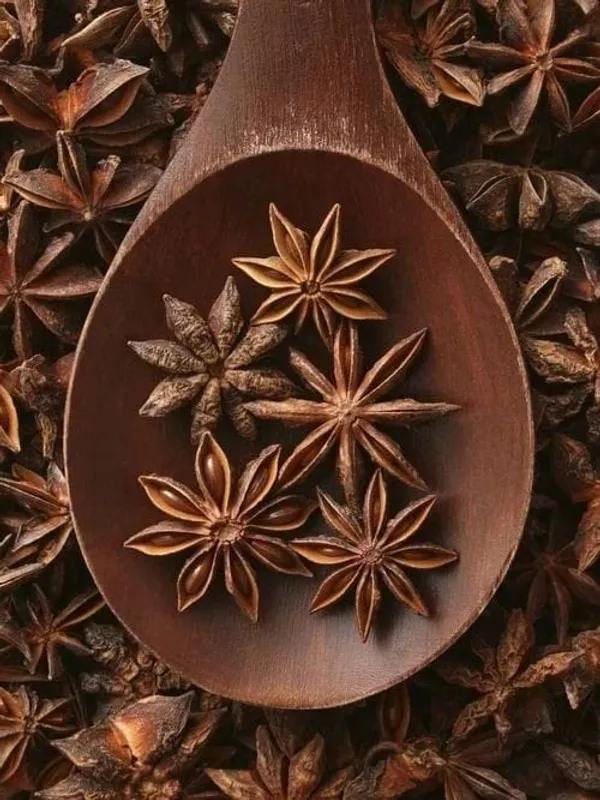 My_God_Gift_Star_Anise_Whole_|_Anasphal_Sabut_|_Chakri_Phool_|_Chakra_Phool_|_चक्र_फूल_|_Illicium_verum