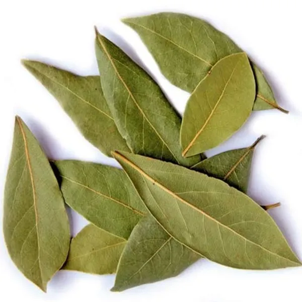 My_God_Gift_Tej_Patta_|_Indian_Bay_Leaf_|_तेज_पत्ता_|_Bay_Leaves_|_Cinnamomum_Tamala