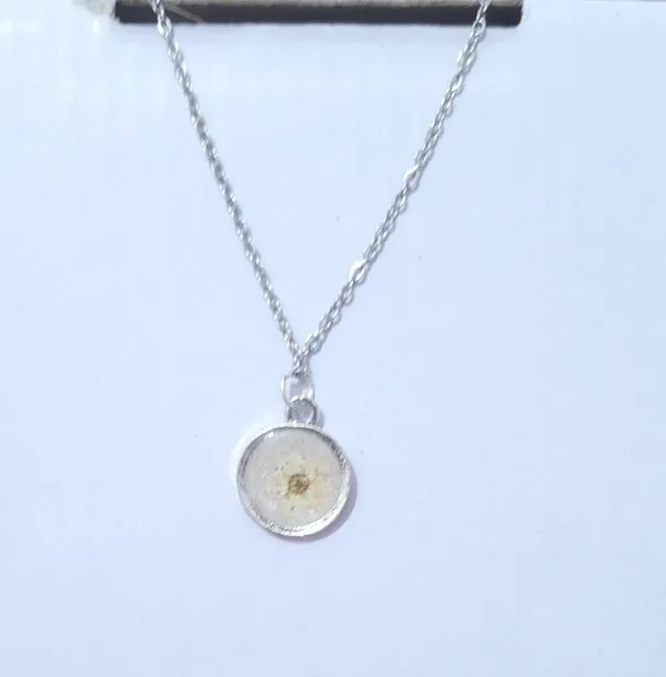 Silver_Brass_Resin_Circular_Pendant_Necklace_For_Women