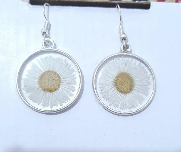 Silver_Tone_Preserved_White_Daisy_Round_Drop_Earrings_For_Women