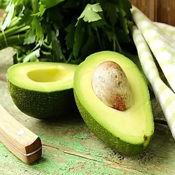 Hass_Avocado_Butter_Fruit_Grafted_Plants_Tree_1_5_3_Feet_Size