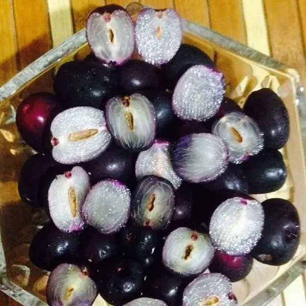 Seedless_Black_Jamun_Jambolan_Grafted_Jam_Fruit_Plants_Tree_1_5_3_Feet_Si